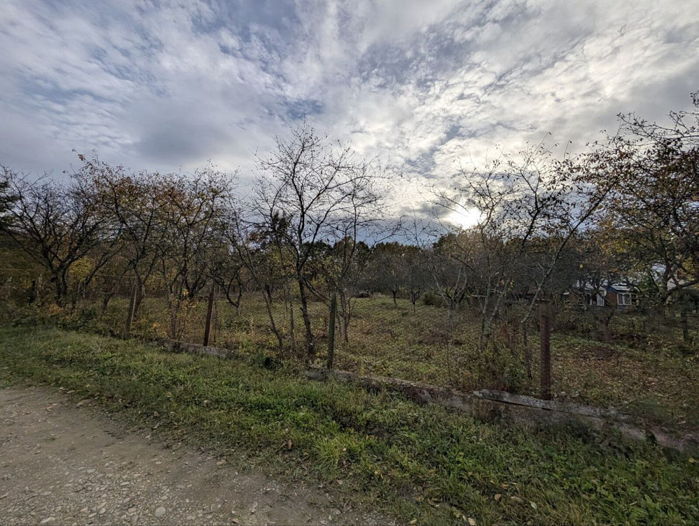 Продаж земельної ділянки 25 соток на Лесі Українки Посіч - фото 3