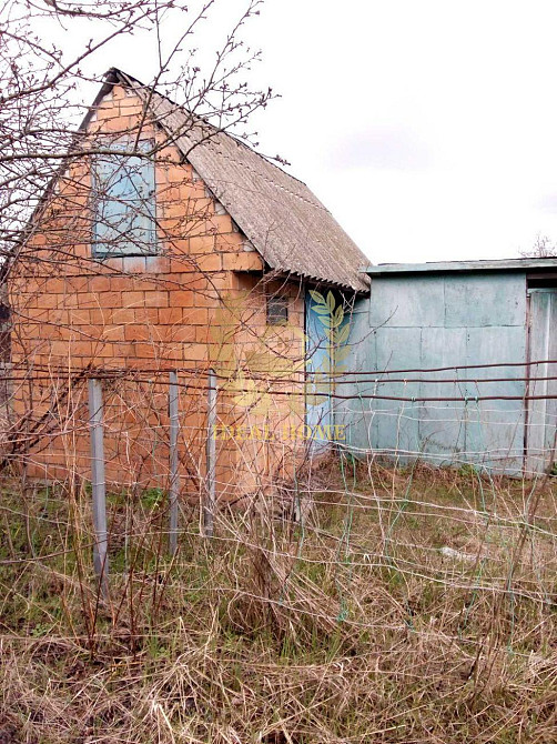 Продам будинок в тарасівка Вільна Тарасівка - фото 5