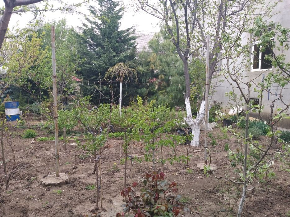 2 этажный дом в Киевском районе в 5 минутах от моря Одесса - изображение 7