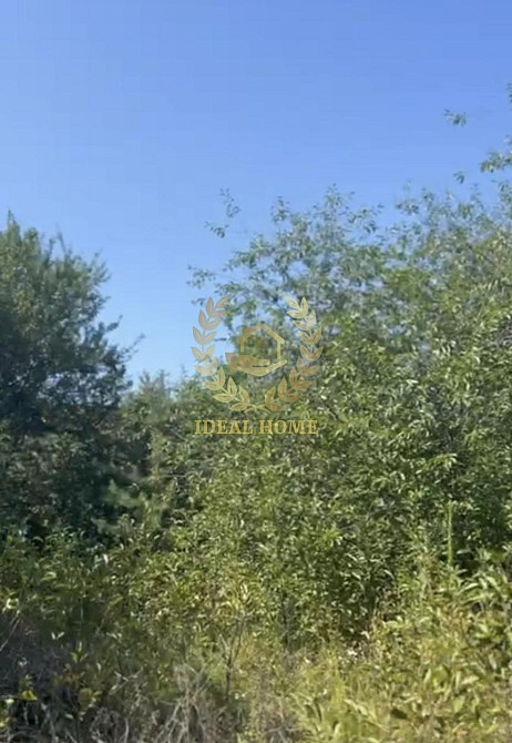 Продаж земельної ділянки 12 соток Ходосівка - фото 3