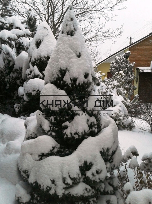 Предлагается на продажу дом в Лесниках 450 м2 и 15 соток с ландшафтным дизайном № 229517  - фото 13