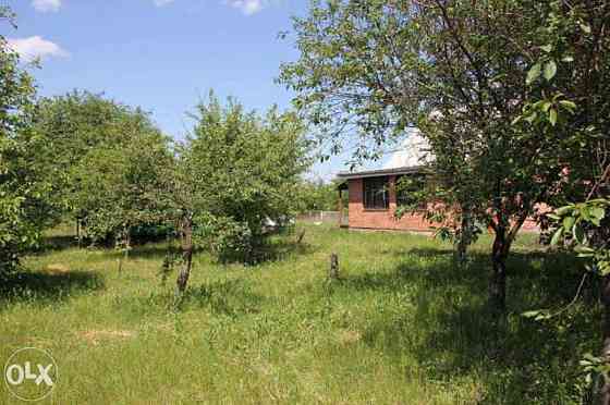 Продаж 1-поверховий Будинок з ділянкою 20 сот 56 кв.м  на Авиаторов Вільна Тарасівка