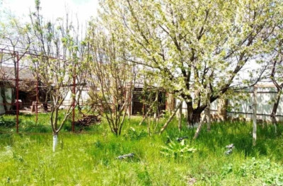 Продаж земельної ділянки 10 соток на ул. Радостная, 15 Доброолександрівка - фото 1