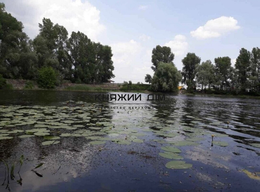 Продажа 2 эт. дома с ремонтом 150 м2 в с. Осещина, 1 линия от затоки р. Десна, свой пляж № 2210526 Осещина - фото 18