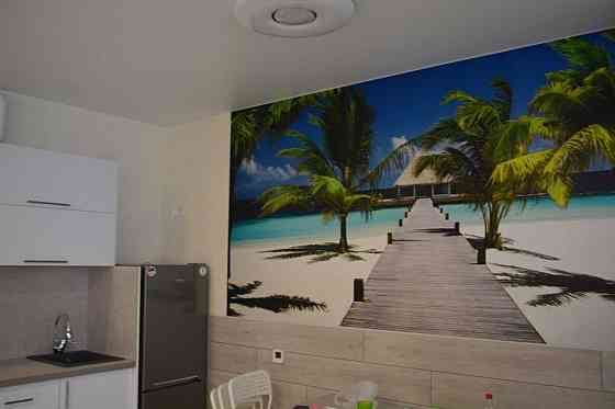 Оренда Квартира 1-кімнатна, 13/25 поверх на Пчілки, 7 Киев