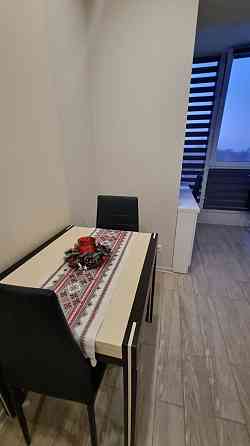 Оренда Квартира 1-кімнатна, 8/10 поверх на вул. Довженка О. Ivano-Frankivs'k