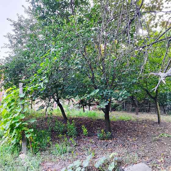 Продам  на Агрономической коробку дома на участке 5,5 соток. Усатове