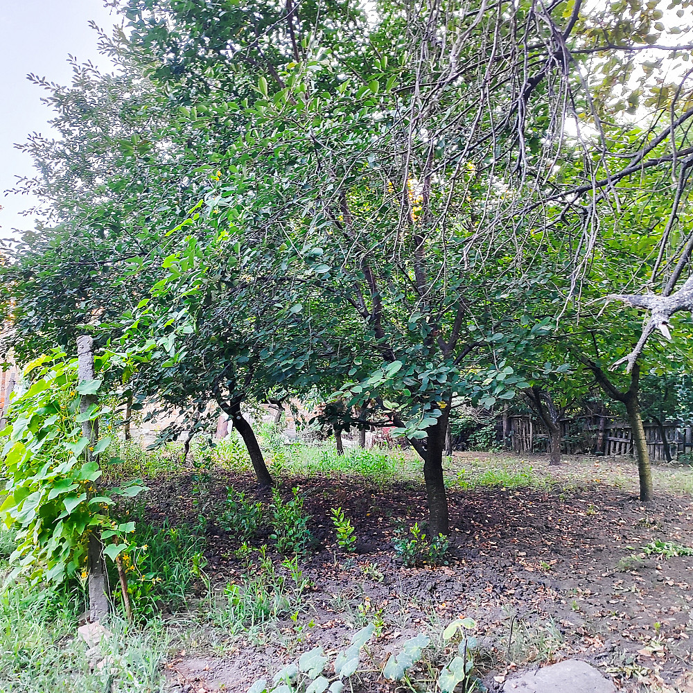 Продам  на Агрономической коробку дома на участке 5,5 соток. Усатове - фото 6