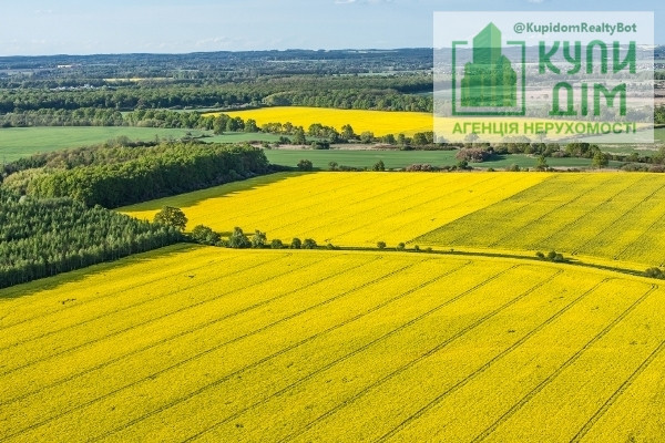 Продаж земельної ділянки 9.4 соток на АН Купи Дім Соколівське - фото 4