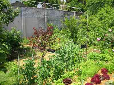 Продаж комерційне приміщення на ул. Успенская, 48 приміщень - 4, поверх - 1 Odessa