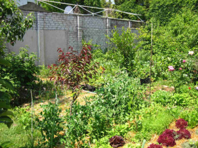 Продаж комерційне приміщення на ул. Успенская, 48 приміщень - 4, поверх - 1 Одеса - фото 3