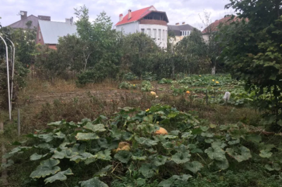 Продаж земельної ділянки 0.1 соток на ул. Николая Троицкого, 3/8 Odessa