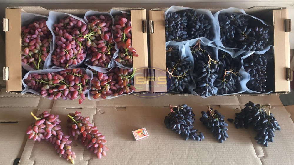 Продаж земельної ділянки 7.72 га на вул. 1 Овідіополь - фото 15