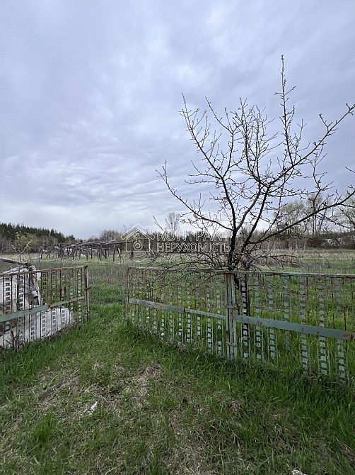 Продаж Будинок 4-кімнатний на вул. Кооперативна Лизогубовка - изображение 19