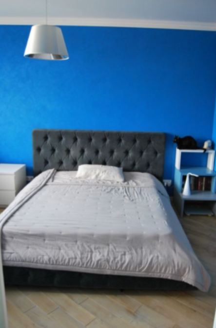 Оренда Квартира 2-кімнатна, 13/21 поверх на ул. Александра Мишуги, 3 Киев - изображение 7