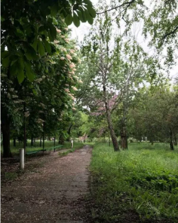 Двух комнатная квартира Старопортофранковской Одесса