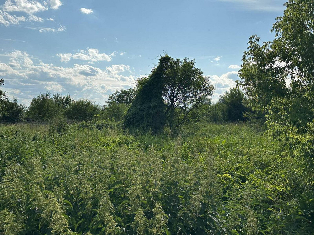 Продаж Будинок Лисець - фото 16