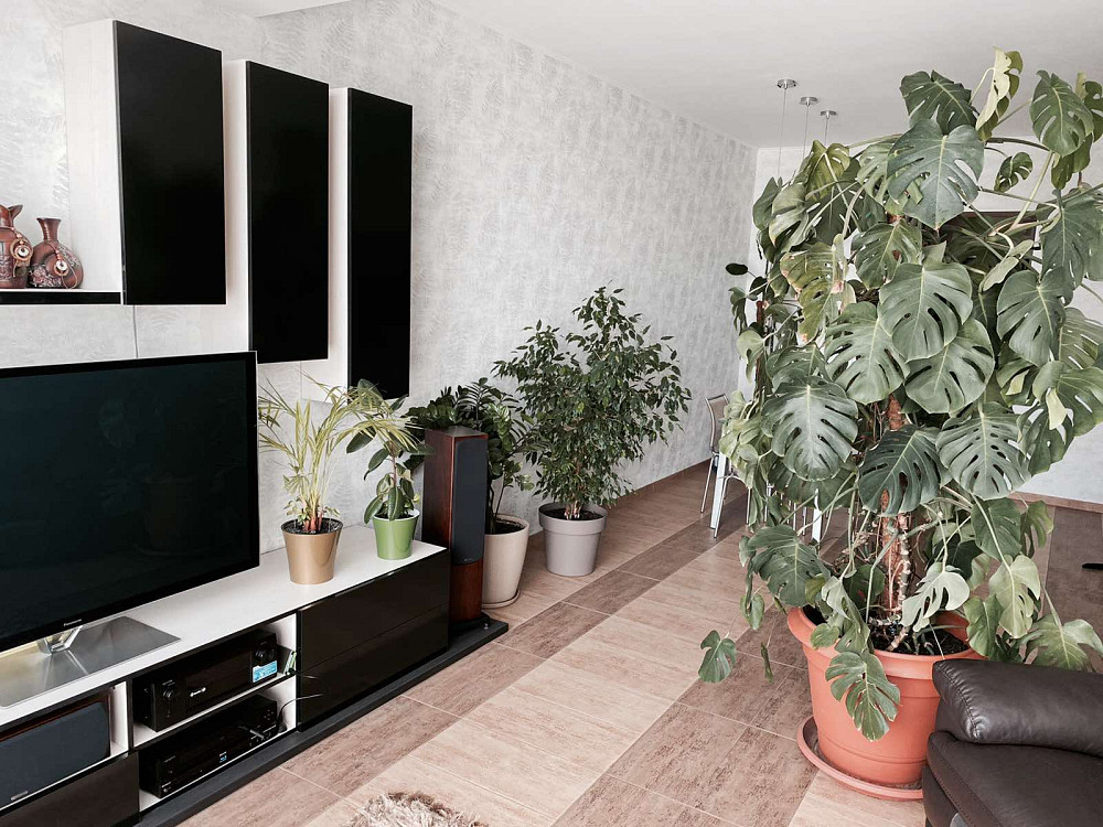 2-комнатная квартира в новом доме, 10 станция Большого Фонтана Одеса - фото 2