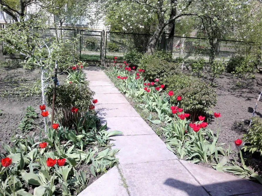 Продаж 2-поверховий Будинок з ділянкою 6.5 сот 165 кв.м 4 кімн. на Пушкіна Золотоноша - фото 4