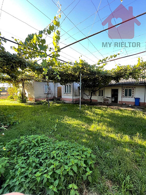 Продаж земельної ділянки 25 соток Kinchesh - photo 5