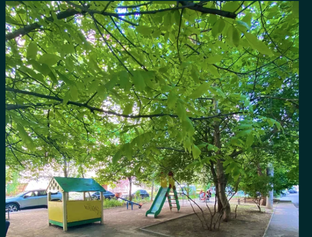 Смарт-квартира на Слободке, ул. Николая Боровского Одесса - изображение 7