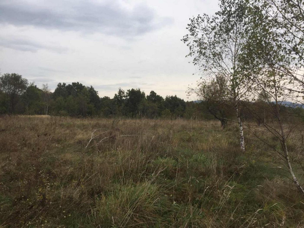 Продаж Квартира на улица Шевченка 21  - изображение 8