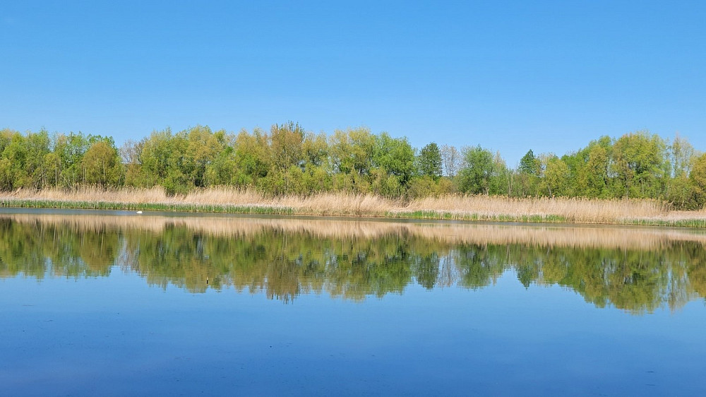 Продаж Будинок на Черешнева  - фото 15