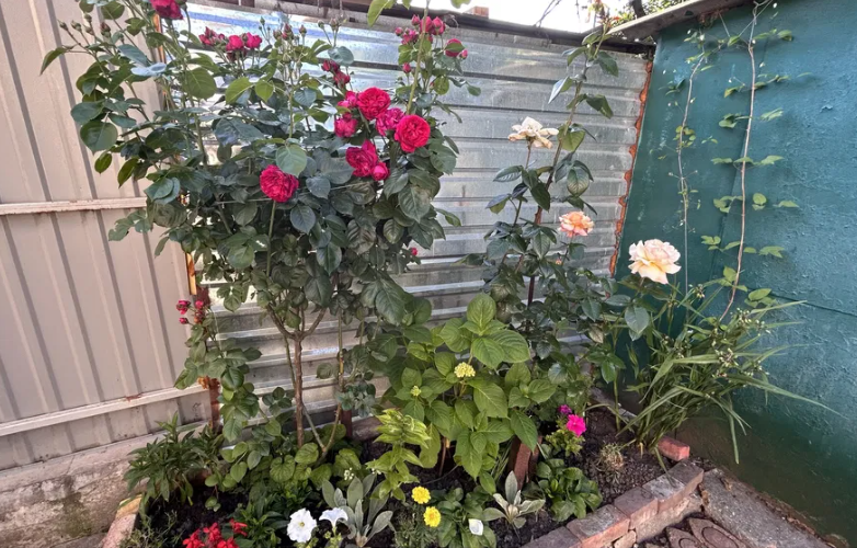 Продам  часть дома  в Малиновском районе Одеса - фото 8