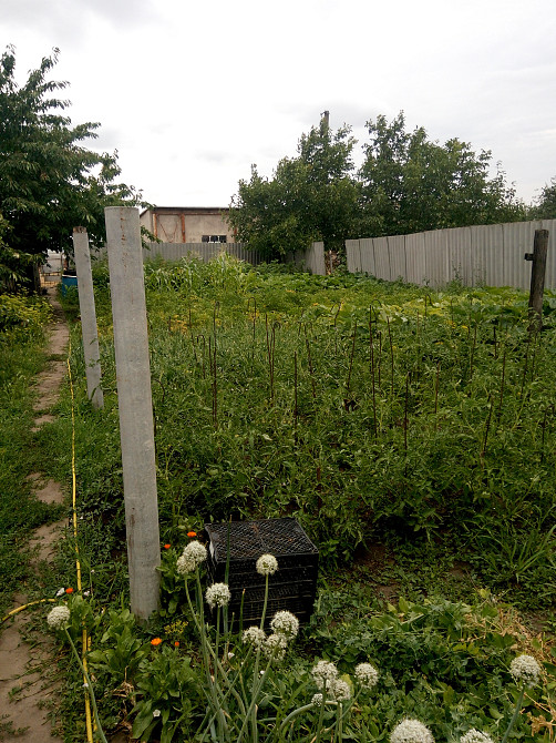 Продаж земельної ділянки 0.1 соток на ул. 1-я Водопьянова, 76б Усатове - изображение 1