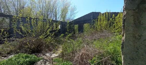 Продаж земельної ділянки Для будівництва приватного житлового будинку площа 18 сот вулиця Тиха, 16 Одеса