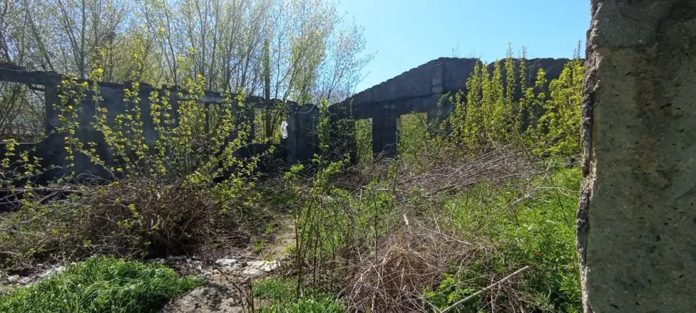 Продаж земельної ділянки Для будівництва приватного житлового будинку площа 18 сот вулиця Тиха, 16 Одеса - фото 6