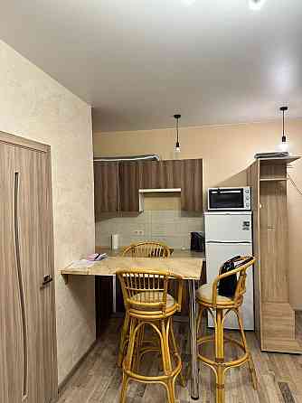 Оренда Квартира 1-кімнатна, 2/25 поверх на Коперника, 3 Kiev