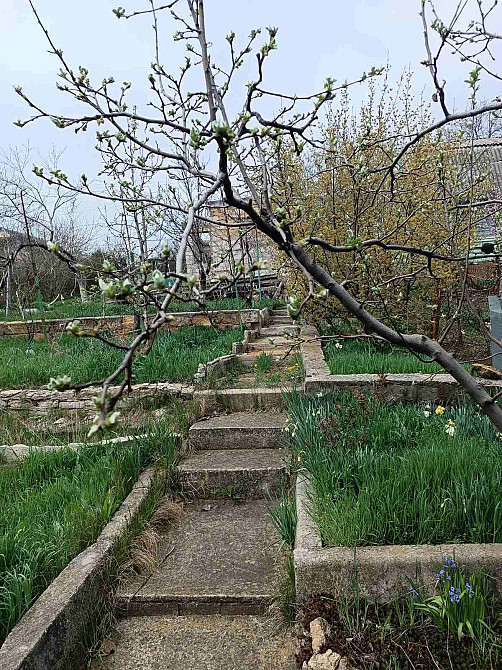 Продам недостроенный дом и земельный участок на берегу Хаджибеевского лимана (СМ "Отрадово", Болгарка) Одрадове - фото 6