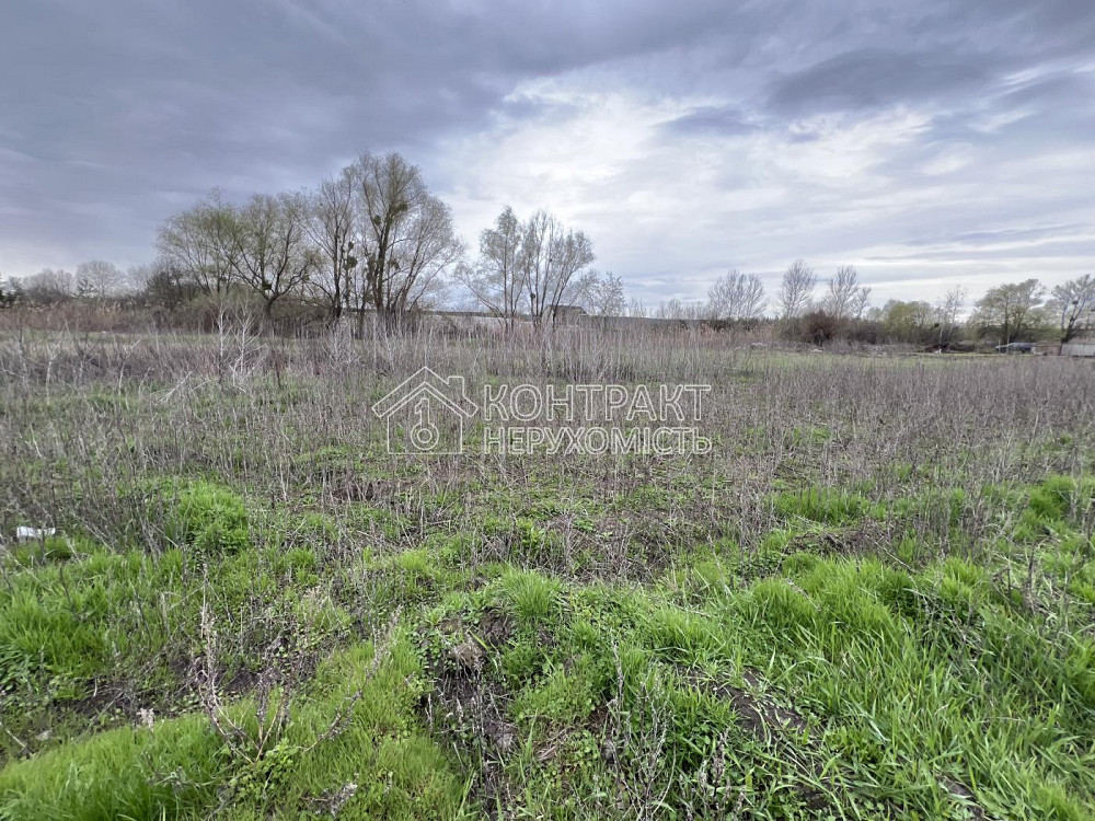 Продаж Будинок 4-кімнатний на вул. Кооперативна Лизогубовка - изображение 20