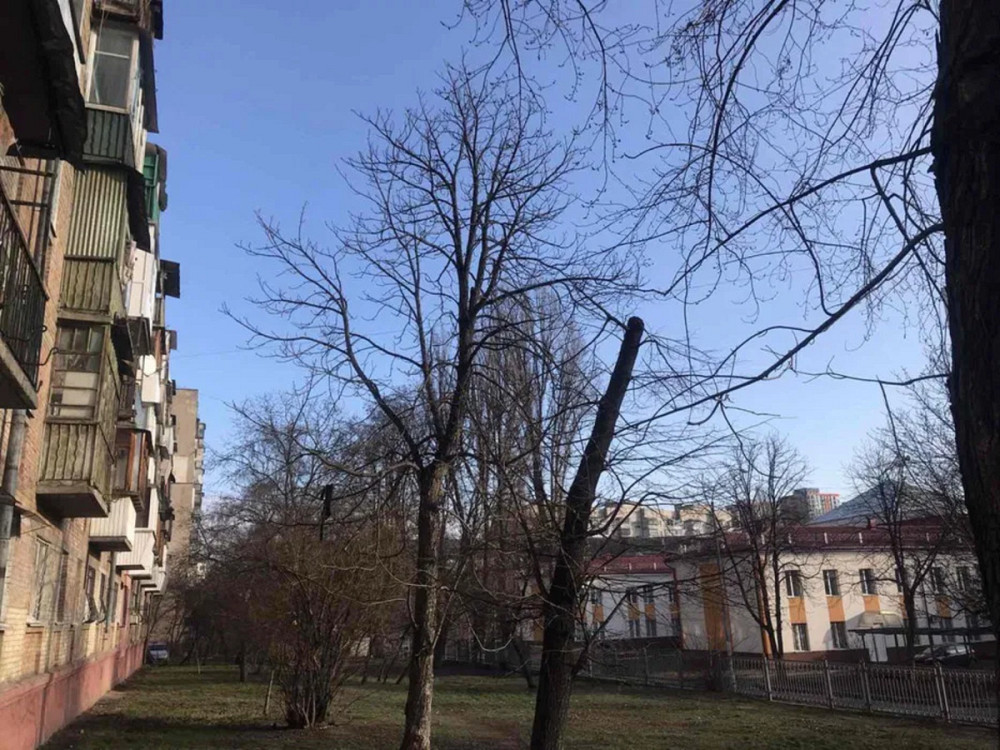 Оренда Квартира 1-кімнатна, 4/5 поверх на Академіка Навашина, 9 Київ - фото 15