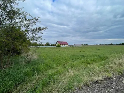 Продаж земельної ділянки Для будівництва приватного житлового будинку площа 46 сот вул. Миру у с. Борохів. Луцьк - фото 7