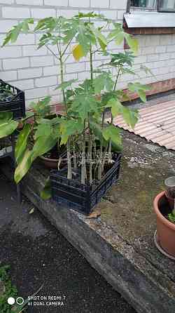 Продаж Будинок 5-кімнатний на вул. Водобудний провулок 