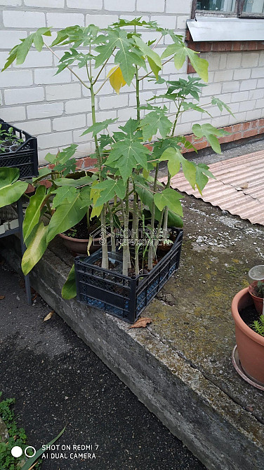 Продаж Будинок 5-кімнатний на вул. Водобудний провулок  - photo 3