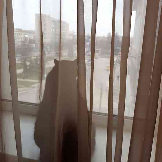 Продам 3-и к/к в центрі міста Кропивницький