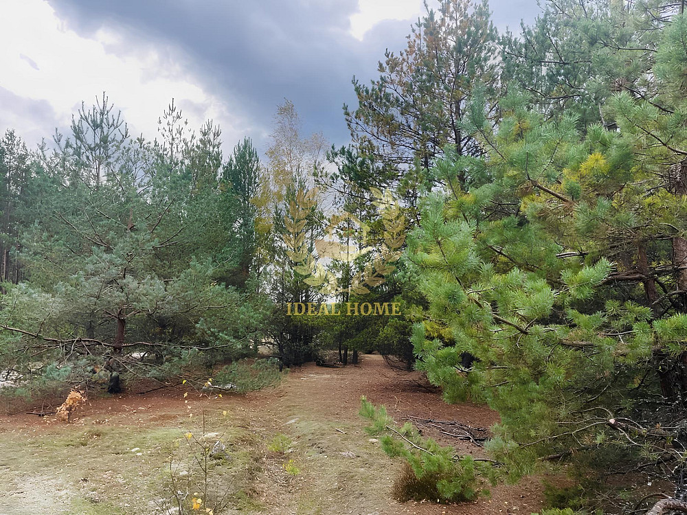 Продаж земельної ділянки 18 соток на Киевская ул., 1 Катюжанка - фото 4