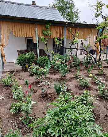 Продається будинок у Світлому на 6 акрах землі Світле