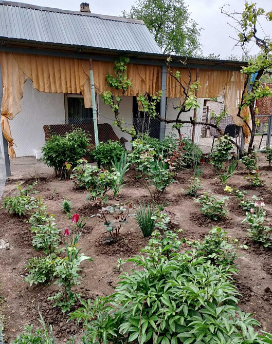 Продається будинок у Світлому на 6 акрах землі Світле - фото 4