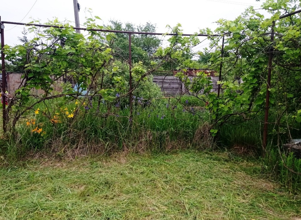 Продаж 2-поверховий Дача з ділянкою 9 сот 45 кв.м 2 кімн. на Барашевский Житомир - изображение 3