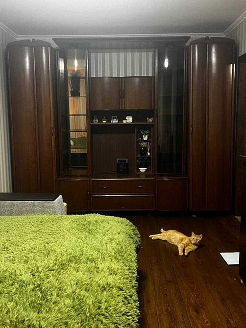 Оренда Квартира 2-кімнатна, 5/9 поверх на Київська Винница - изображение 12