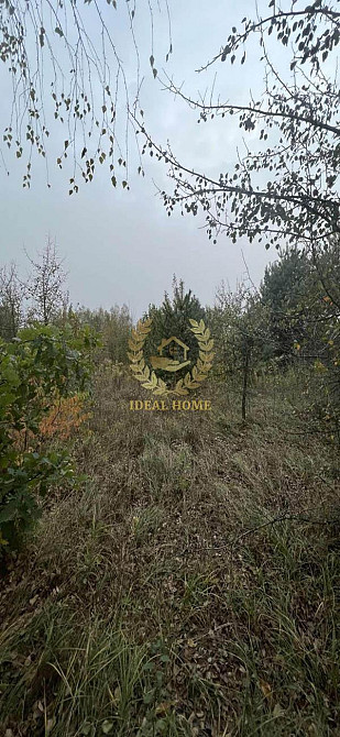 Продаж земельної ділянки 10 соток  - фото 1