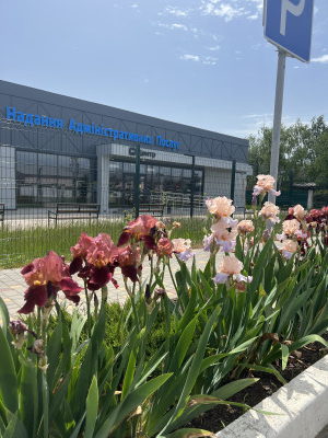 Дом в ПГТ Таирово, на 6 сотках Таїрове - фото 2