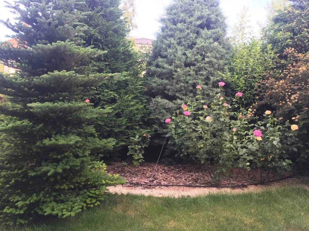 Продаж Будинок на вул. Корабельна Одесса - изображение 15