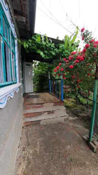 Продам дом в с.Красная Горка (Одесская обл., Беляевский р-н) Chervona Hirka - photo 10