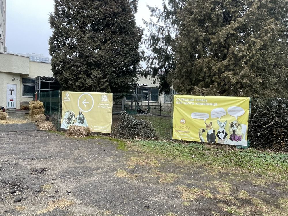 Оренда заклад громадського харчування на вул. Стрийська приміщень - 1, поверх - 1/1 Львів - фото 3