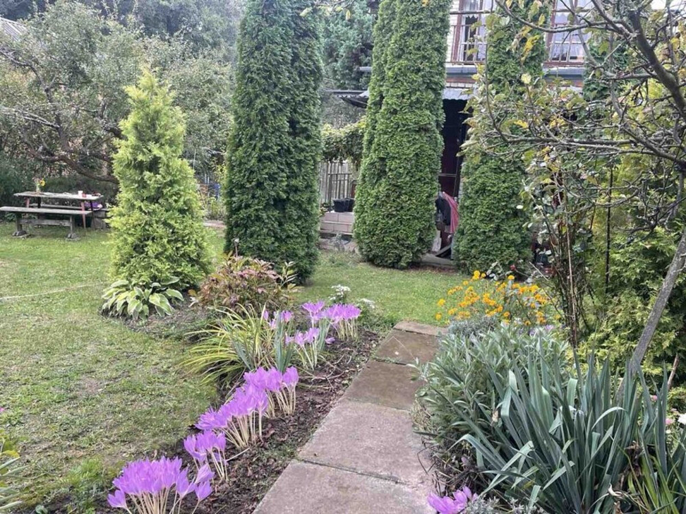 Продаж Будинок на с.Рибаче Vinnytsya - photo 19